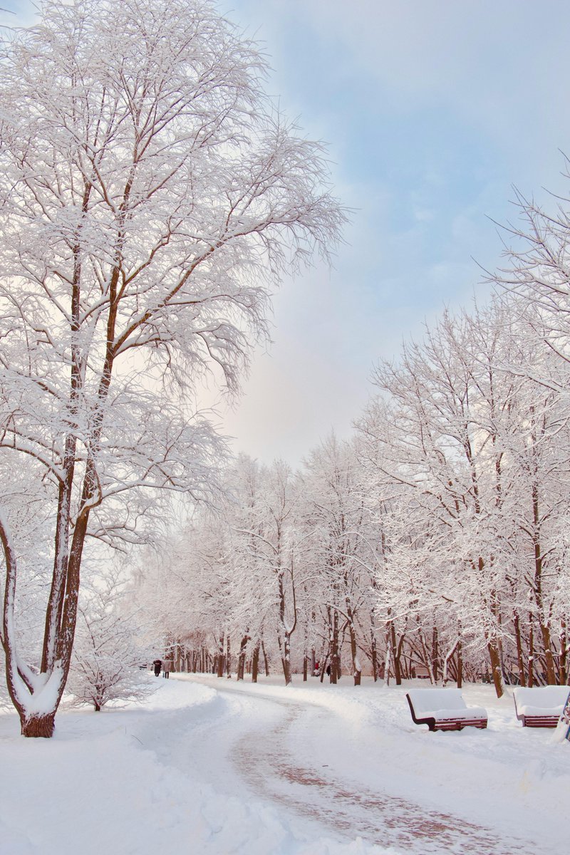 Earth Glory (@earthglory56) on Twitter photo 