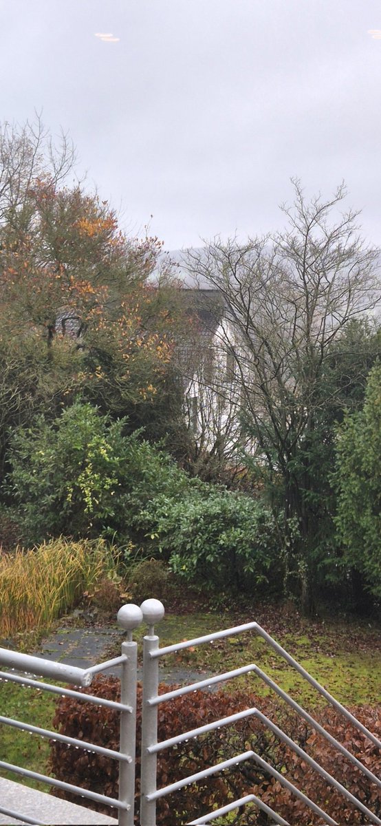 MarcelaKovov4's tweet image. Pěkné sobotní odpoledne z deštivého Niedersachsen  🌧☔️
#babickovani