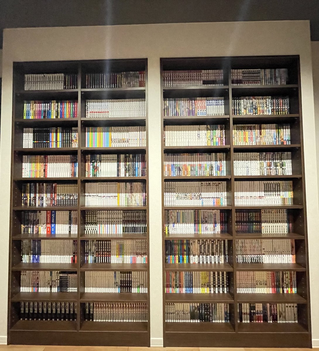 本しかない部屋が完成しました！
頑張ったので良かったら見てください😌

#本棚晒す
#本部屋