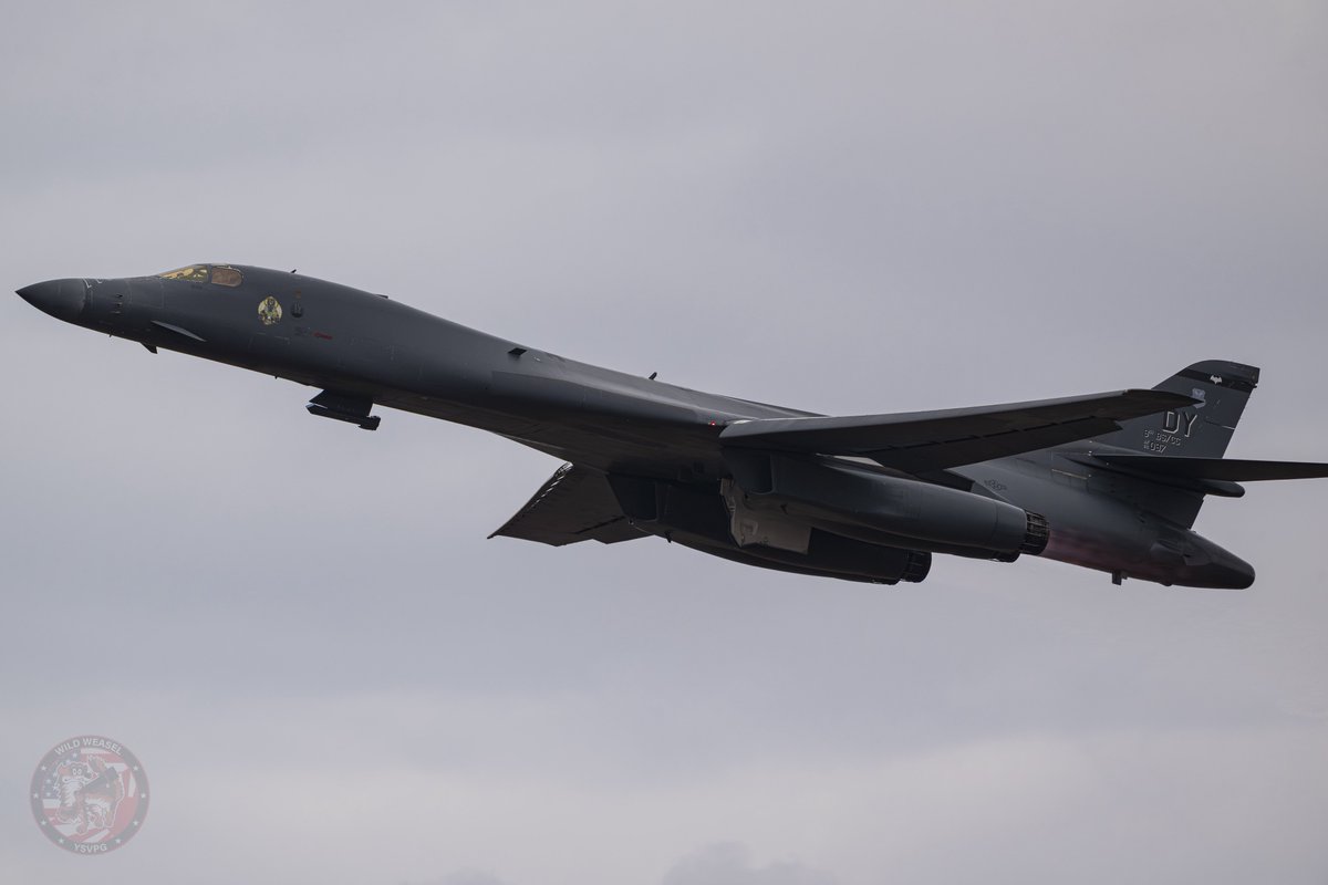 Wild Weasel tweet media