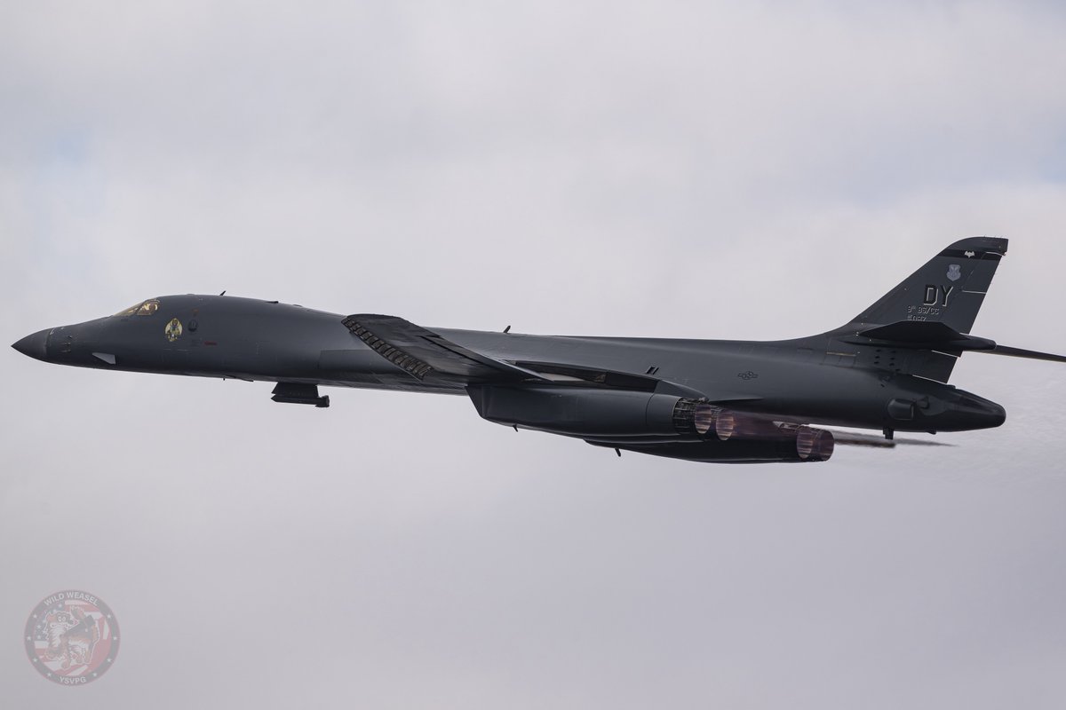 Wild Weasel tweet media