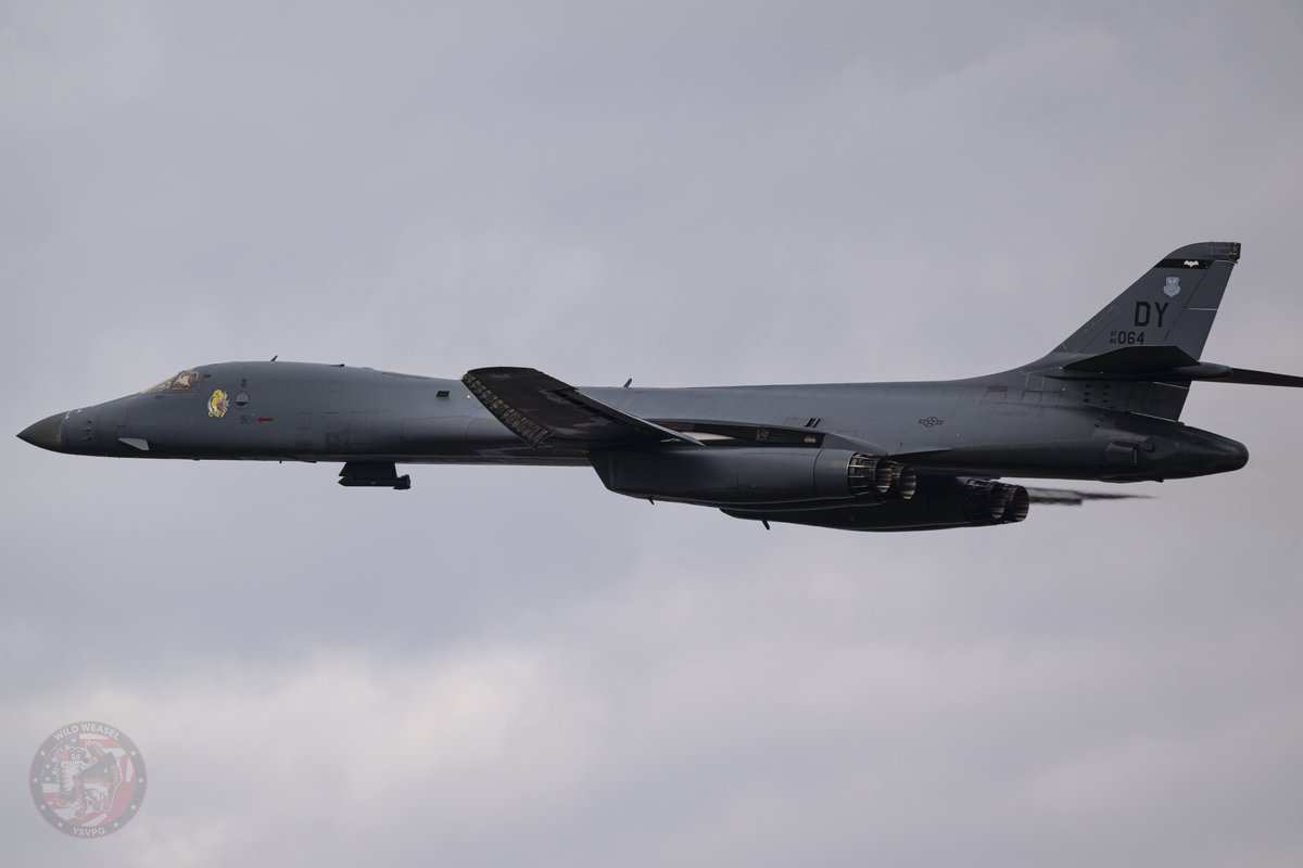 Wild Weasel tweet media