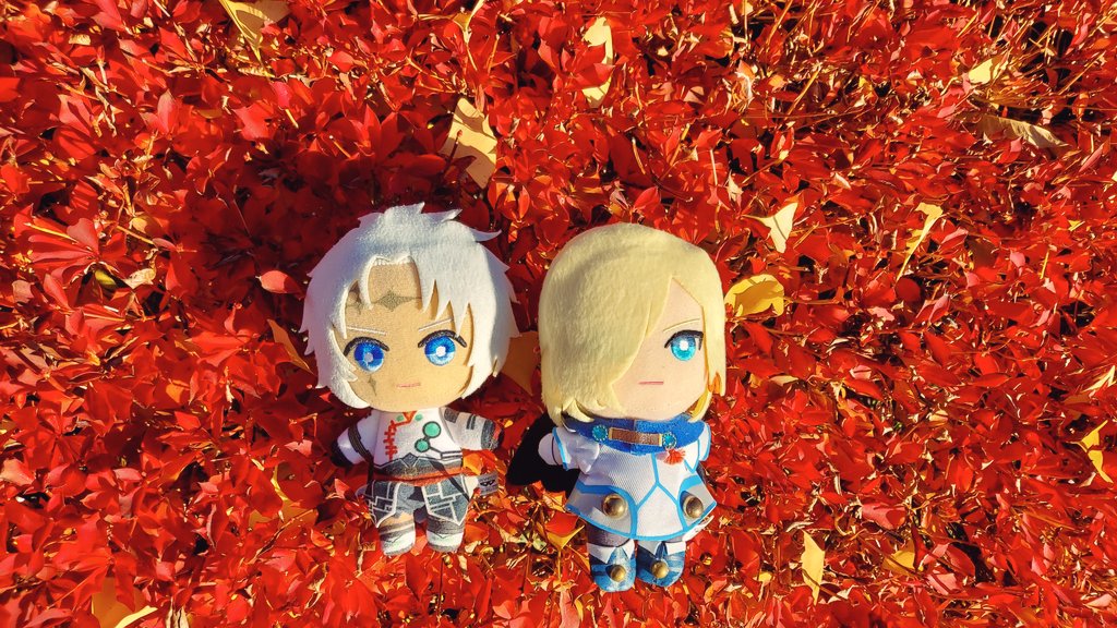 16yoiyoi's tweet image. セネワル　秋　鮮やかに