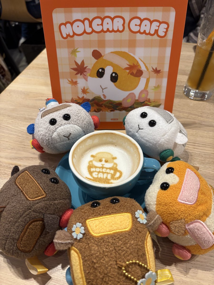 ✨♥①ウッチー部屋♥✨６０枚✨ ✨♥①ウッチー部屋♥✨60枚✨ フランダー (@tanosiko99) / Posts / X