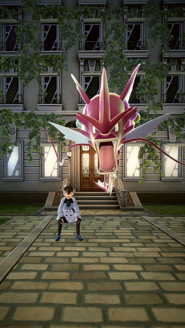 くまちゃん🧸 (@Buta_kuma_chan) / Posts / X