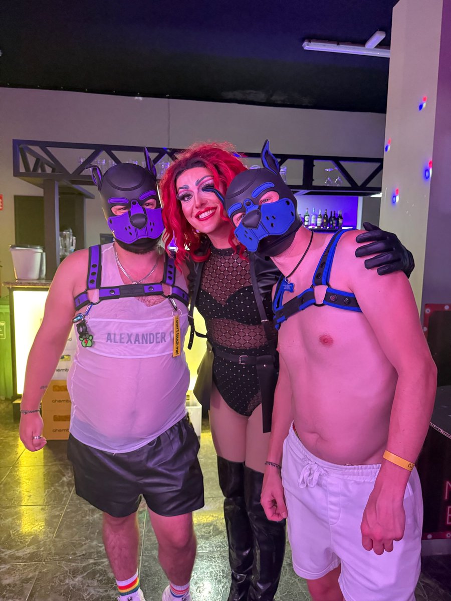 Pup_max69 tweet media