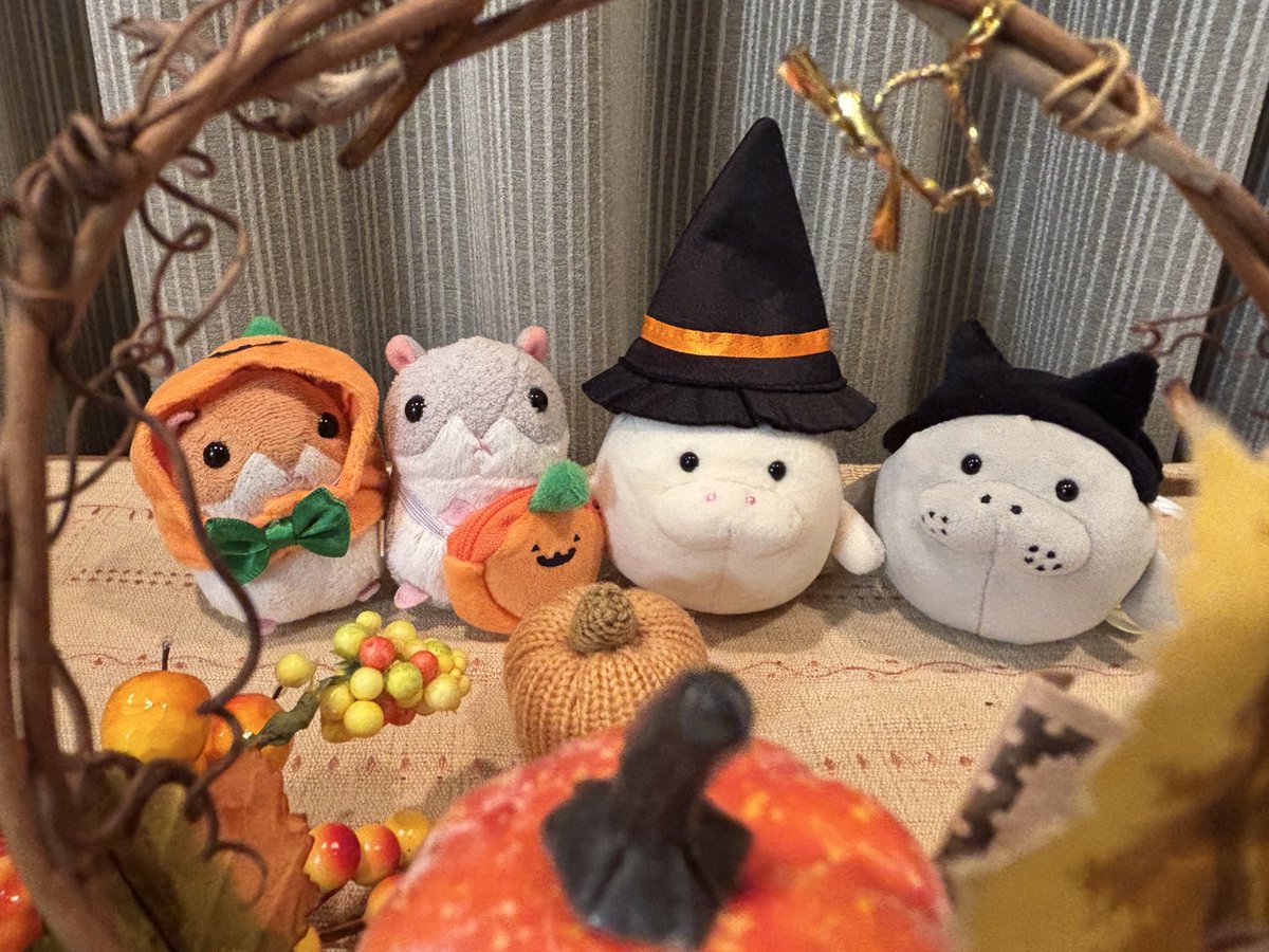 みんなで はろうぃんぱーちーもした🎃