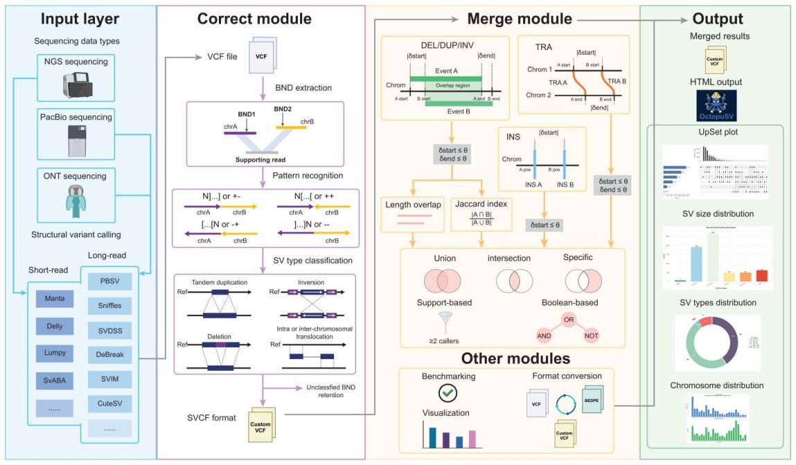 jsantoyo's tweet image. OctopuSV and TentacleSV: a one-stop toolkit for multi-sample, cross-platform structural variant comparison and analysis. #StructuralVariants #SVs #SVcomparison #SVidentification #Bioinformatics
academic.oup.com/bioinformatics…
