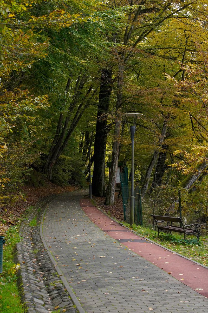 Travel_2Romania's tweet photo. Probabil că nici fondatorul băilor de la Sovata,Vereș Iózsef,nu și-ar fi imaginat că,150 ani mai târziu,#Sovata va ajunge cel mai faimos oraș balneoclimateric și cea mai pitorească stațiune din Transilvania🇷🇴 lucru la care contribuie,fără-ndoială și locul în care e așezată, https://t.co/rQIUCWw4Vc