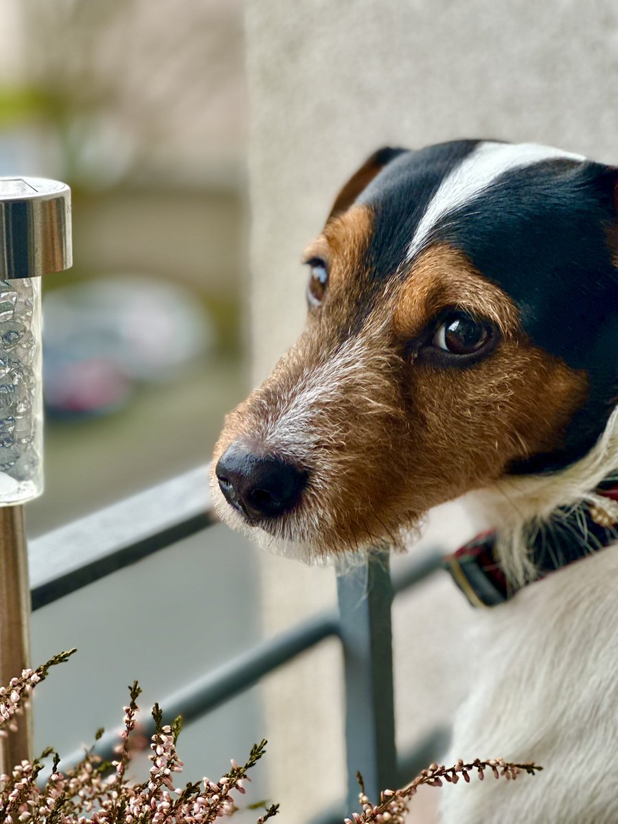 Moin #Twitterrudel 

Ich komme gerade von draußen und kann Euch sagen:

Haltet ein, solange es geht.
Das Wetter ist richtig bäh 😑