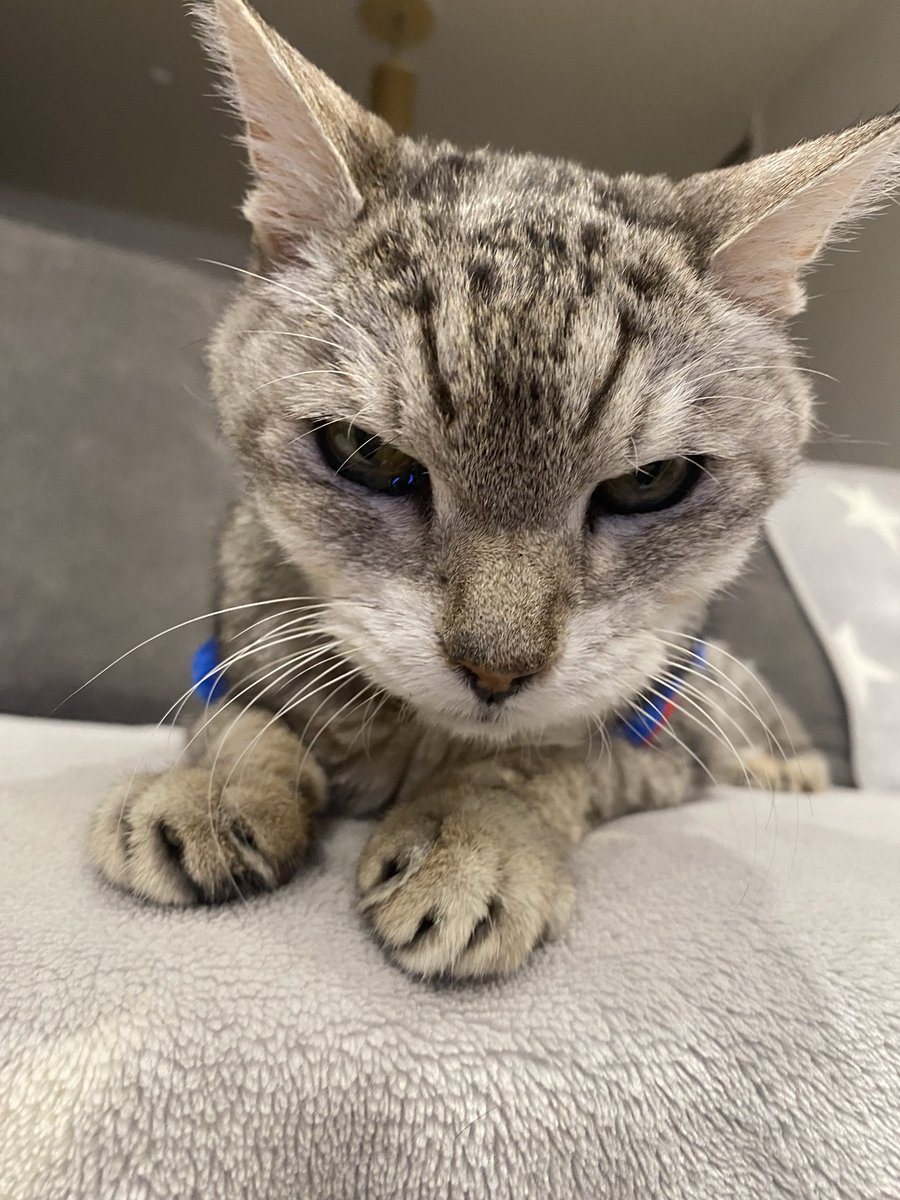 おめでとう御座います