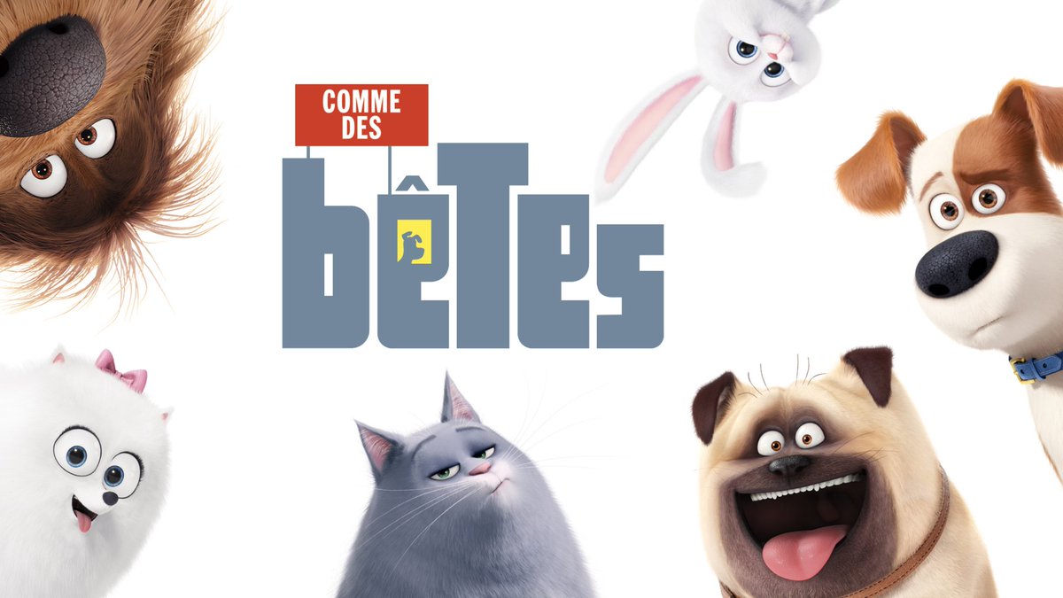 #Audiences 

🐶 Belles performances auprès du public familial pour le film COMME DES BETES 

🏆 <a href="/gulli/">Gulli</a> leader TNT et 4ème chaîne nationale auprès des -50 ans

🎯 4,3% auprès des 4-49 ans
🎯 16,6% auprès des 4-10 ans
🚀 Jusqu’à 0,4M de téléspectateurs