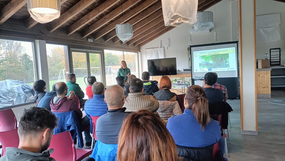 Biocastanea 2025 tweet media