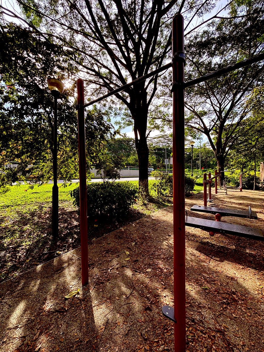 Oh no is it another Xerneas? Damn it’s everywhere. Anyway, 12m 31s today. Dropped my crazy pace for a slower steadier one. But seemed like the difference wasn’t that much. Sun was beating down hard after the rain. Sit-up bench was still wet.