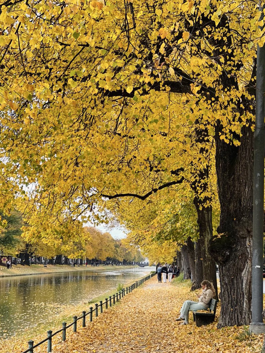 soon the orange leaves will lose their last bit of strength, slipping from the branches one by one. the world will exhale into a softer, duller version of itself and sink into winter’s pale stillness