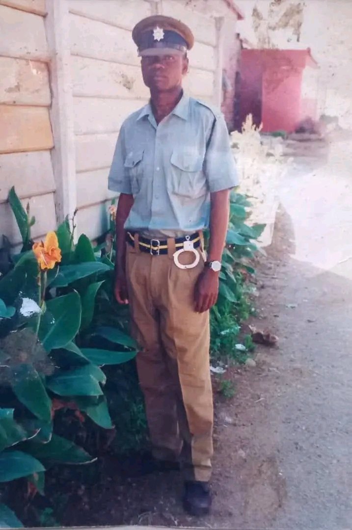 Dandaro Online tweet media