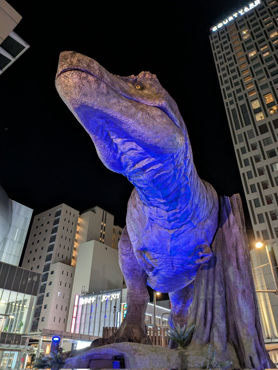 iris_cuniculus's tweet image. バイバイ福井