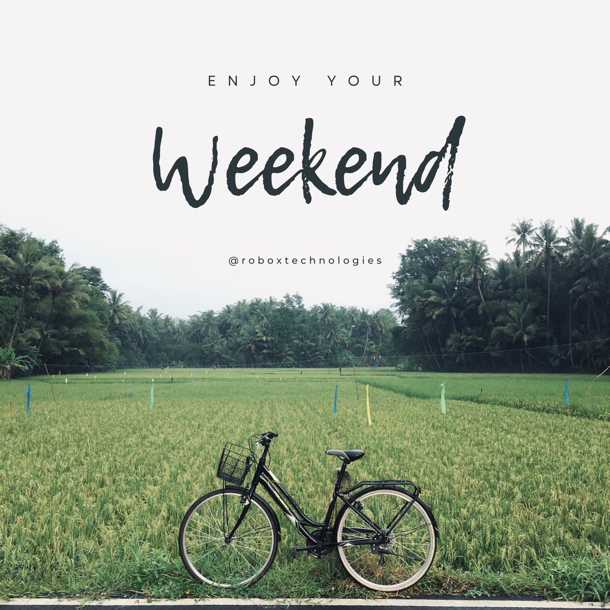 Robox_Tech's tweet image. Happy Weekend 💚