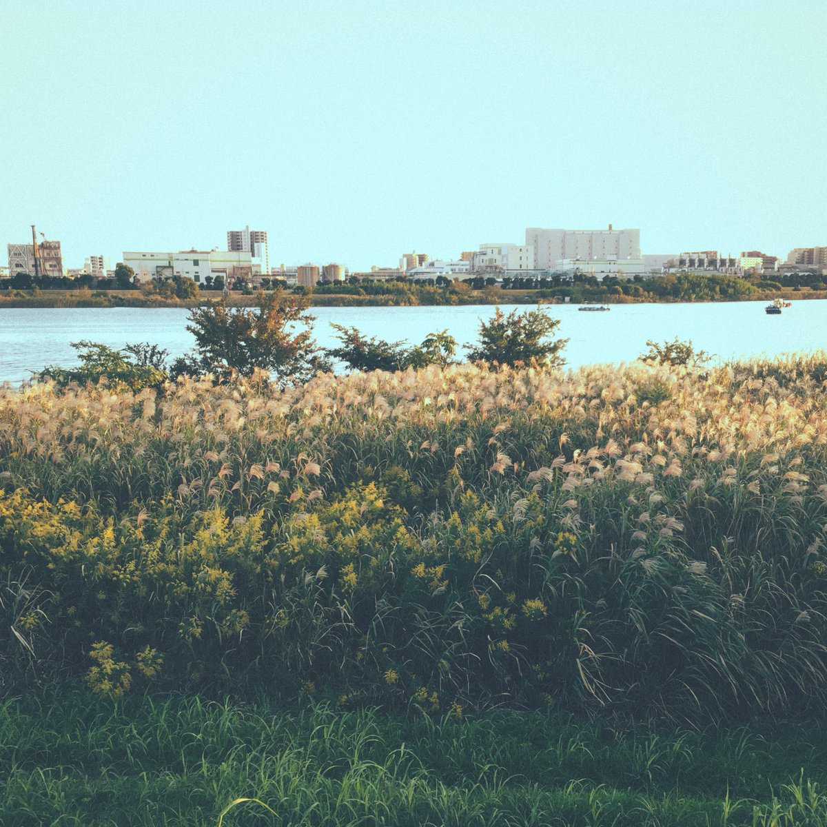 遠出
soundcloud.com/teruuchi/a-jou…