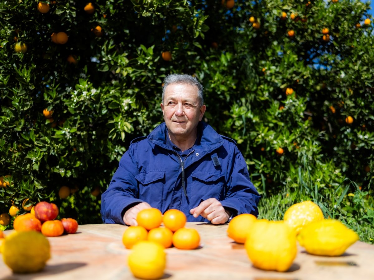 — - Todolí: así ideó el pope del arte su defensa del territorio valenciano
  valenciaplaza.com/libros-comic-v…