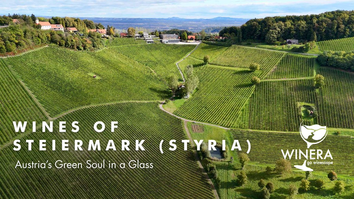 Wines of #Steiermark (Styria): #Austria’s Green Soul in a Glass
Read more: tinyurl.com/5n7btbem
#Winera #Travellier #wine #WinesOfStyria #GreenHeartOfAustria #Südsteiermark #VulkanlandSteiermark #Weststeiermark #WeingutTement #Domaine1196 #WeingutKögl #SauvignonBlancLovers