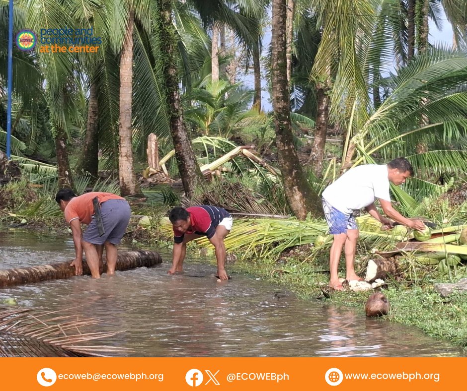 ECOWEB, Inc. tweet media