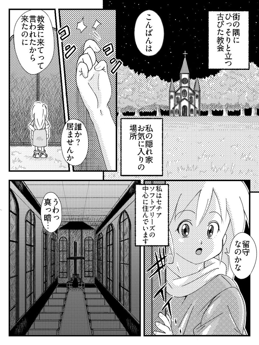 少女が流れ星に願い事をする話(1/3)