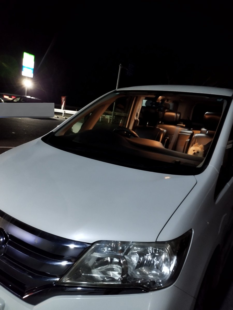 おかあさんが、日帰りで一人で実家に行くって
楽しそうな写真が送られてきた