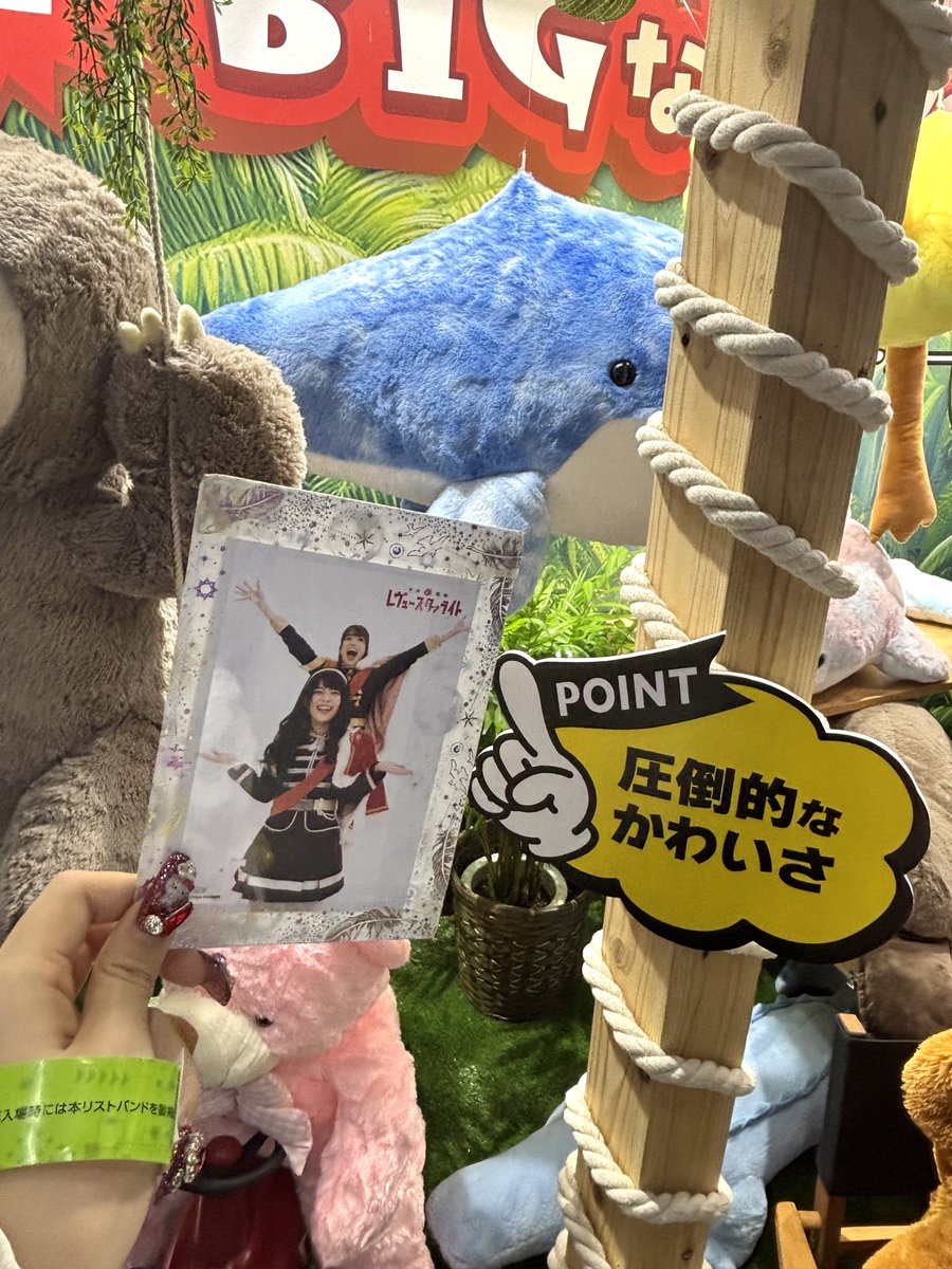 ふじこちゃん28さま専用ꯁꯧ オンライン限定価格*】シルバニアファミリー ビスケットクマのふたご