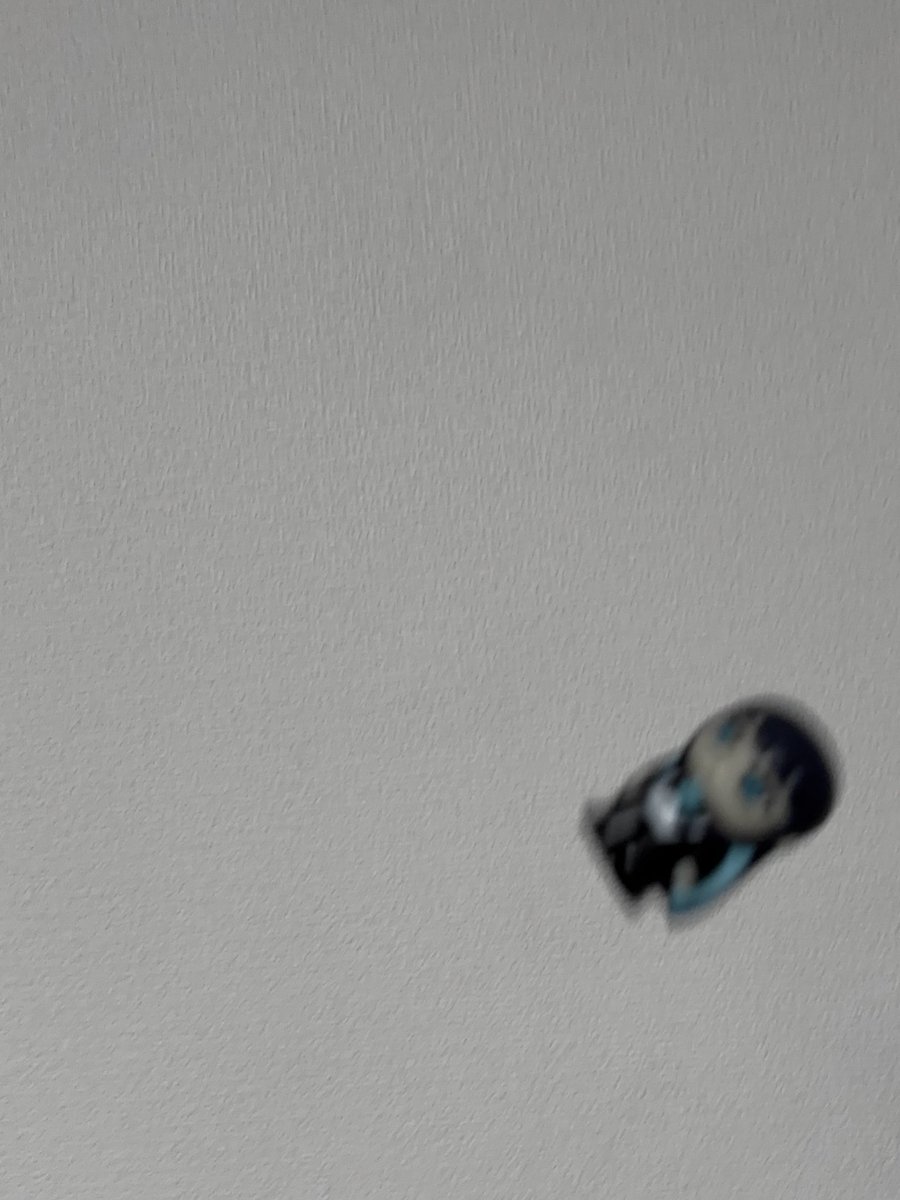 Post by asami on X: よだか