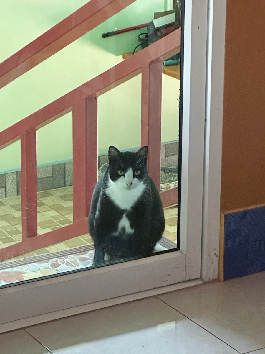 พี่ชาวี พี่จะใส่สูทมาทำไม