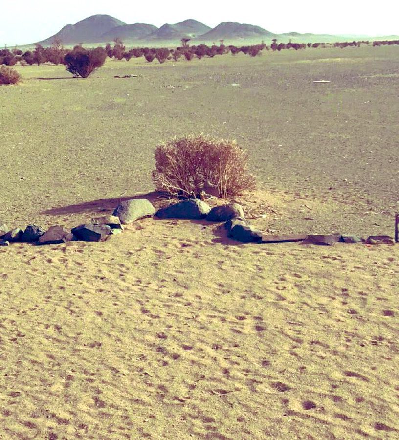 صوره تسرّ البال .. وتضيّق  البال
للي  من هموم  الحياه  استراحو

محراب واشجار ورياجيل وجبال
باقي  ثلاثه ..  والرياجيل  راحو
#نايف_اباالعون 
<a href="/naif_abalaon/">نايف اباالعون</a>