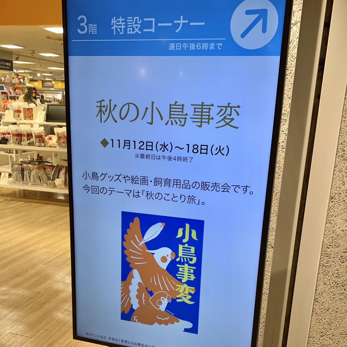 hutoshi (@hutoshiii) / Posts / X