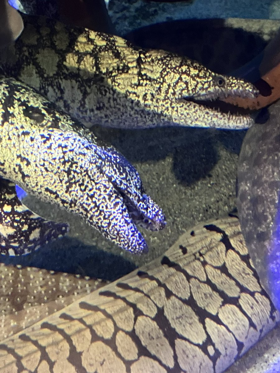 竹島に行ってきた。