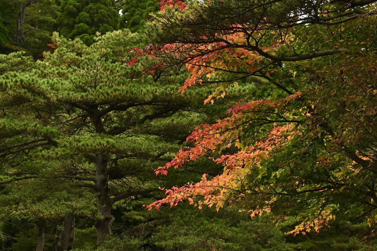 CyPm4f's tweet image. #写真好きな人と繋がりたい
母親の影響でレゲエを聴きながら育った楓。