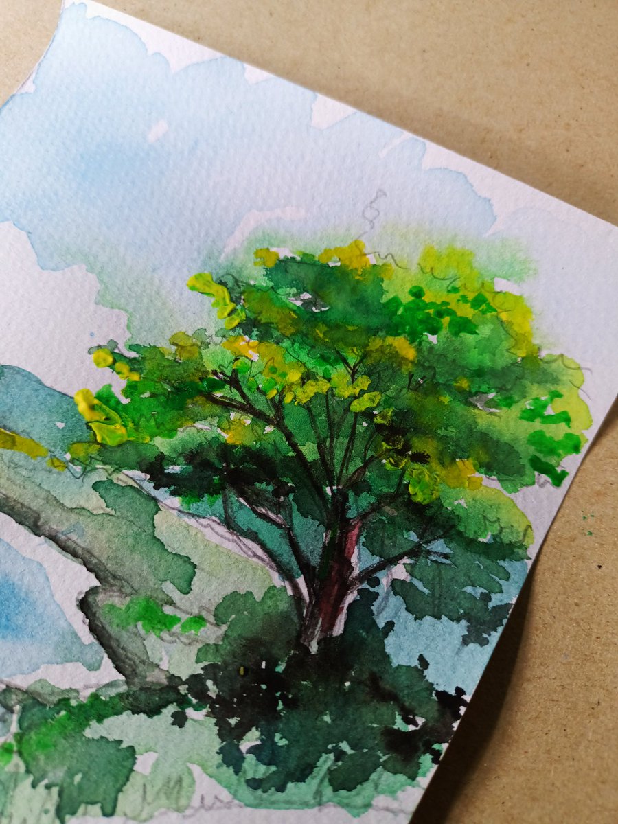 saurc3rer's tweet image. 