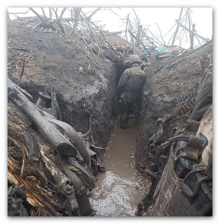 FRAU MAYER tweet media