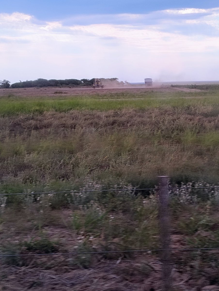 Nestor Gaspar Sager tweet media