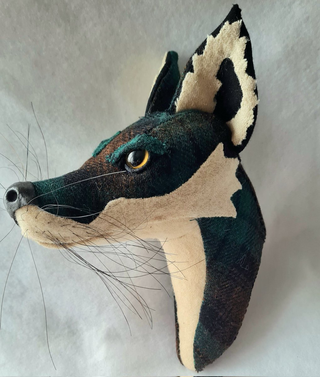 Jaynetunners's tweet photo. Things I've made this week. From a bonkers 60s/70s inspired #jackalope to a #DavidBowie inspired hare. You can buy them here https://t.co/XkFJE87Ypt #giftideas #gifts #uniquegifts #fauxtaxidermy #walldecor #craftedcreatures #foxwalldecor https://t.co/F0uFdfhIq8