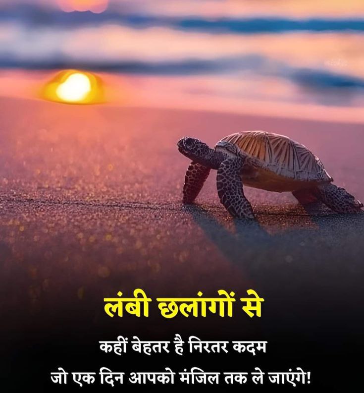 छोटे कदम, बड़ी मंज़िल