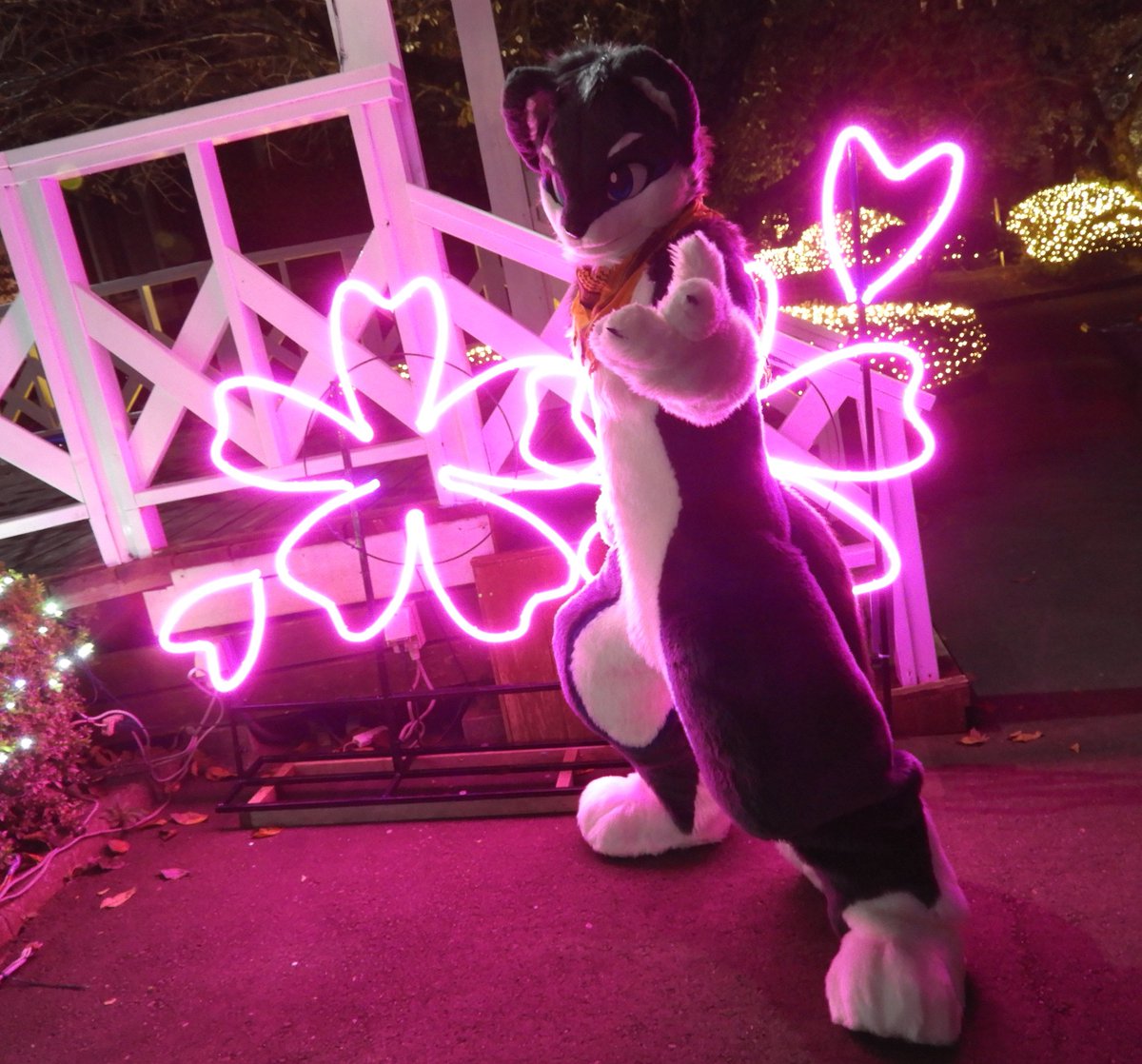 #kemokon18
スピンさんちのAXL君とのツーショットシリーズ
桃牙さんとレスタさんとリトさんとの
ツーショット
3人とも生まれた世代は違うがそれそれ個性があって良い顔してますホント

3枚目、背景の配色と言い…ｴｯｯｯｯr…
カッコいいし仕草とかが刺さります…リトさん