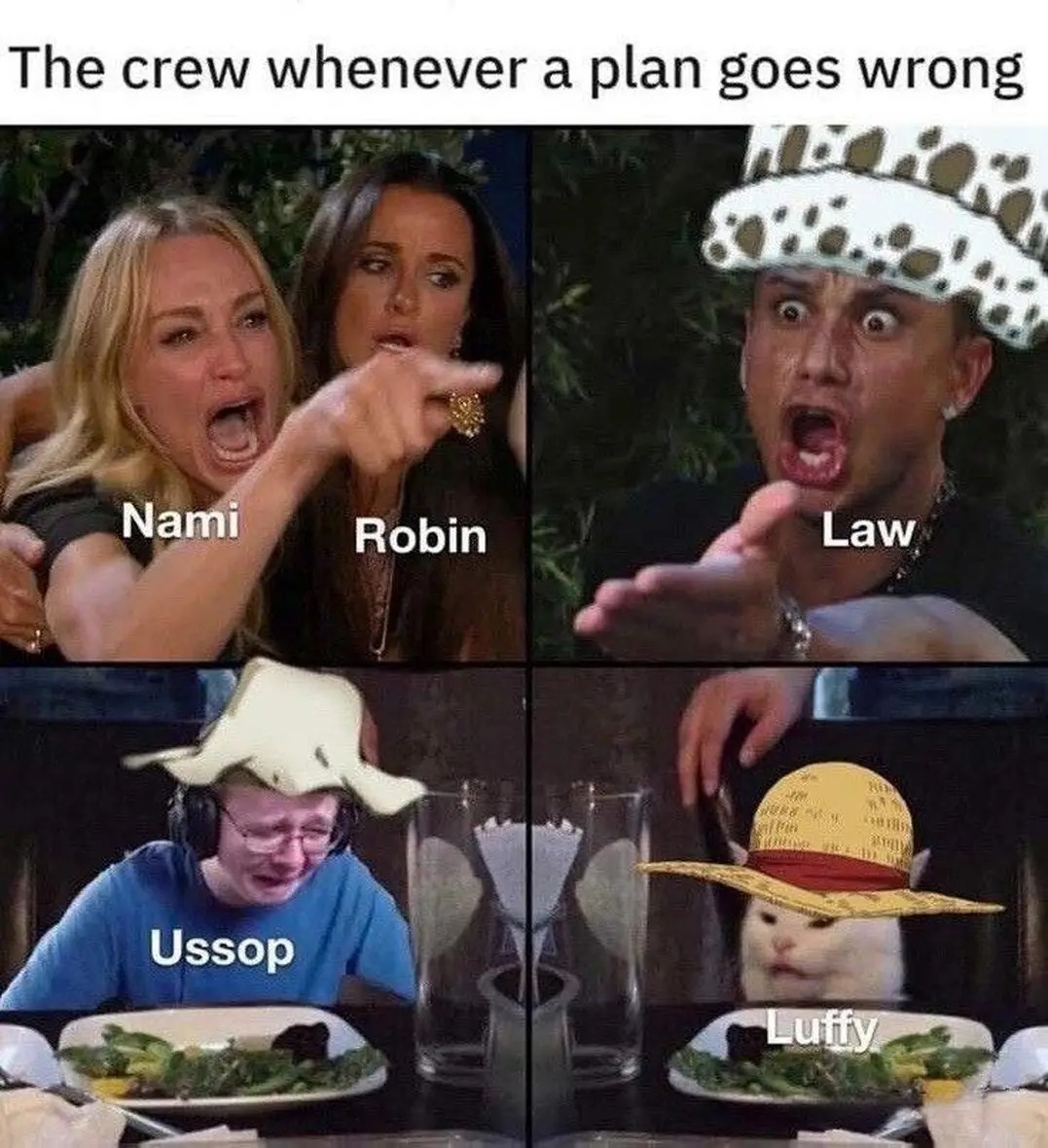 DailyOPMemes's tweet photo. One Piece Anime https://t.co/IH5443pTNt