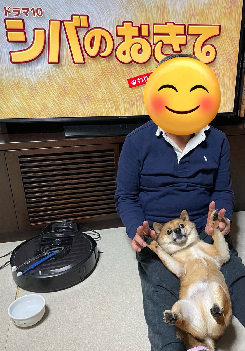 豆柴🎾九十 (@rojiko7) / Posts / X