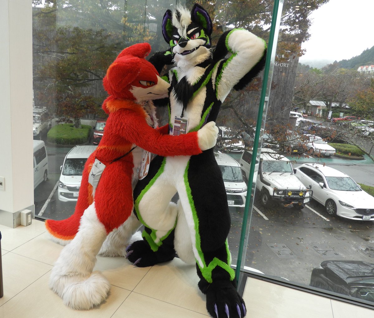 #kemokon18
今回名取氏のアテンダントだったため
一緒に行動したスピンさんちのAXL君と
2匹交互のアシスタントみたいな感じでした、いい写真を残せたのなら嬉しい限りです。
よく考えたらAXL君も意外と短マズルだったのが印象的、ウチの子も短マズルっ子の予定ですが…凄く体型といい惚れます。