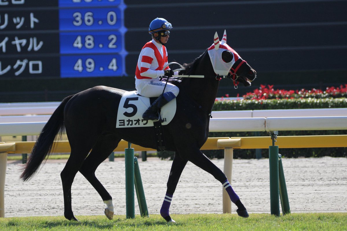 ハルちゃんちのママ (@zbsJUMqxrLzXEM8) / Posts / X