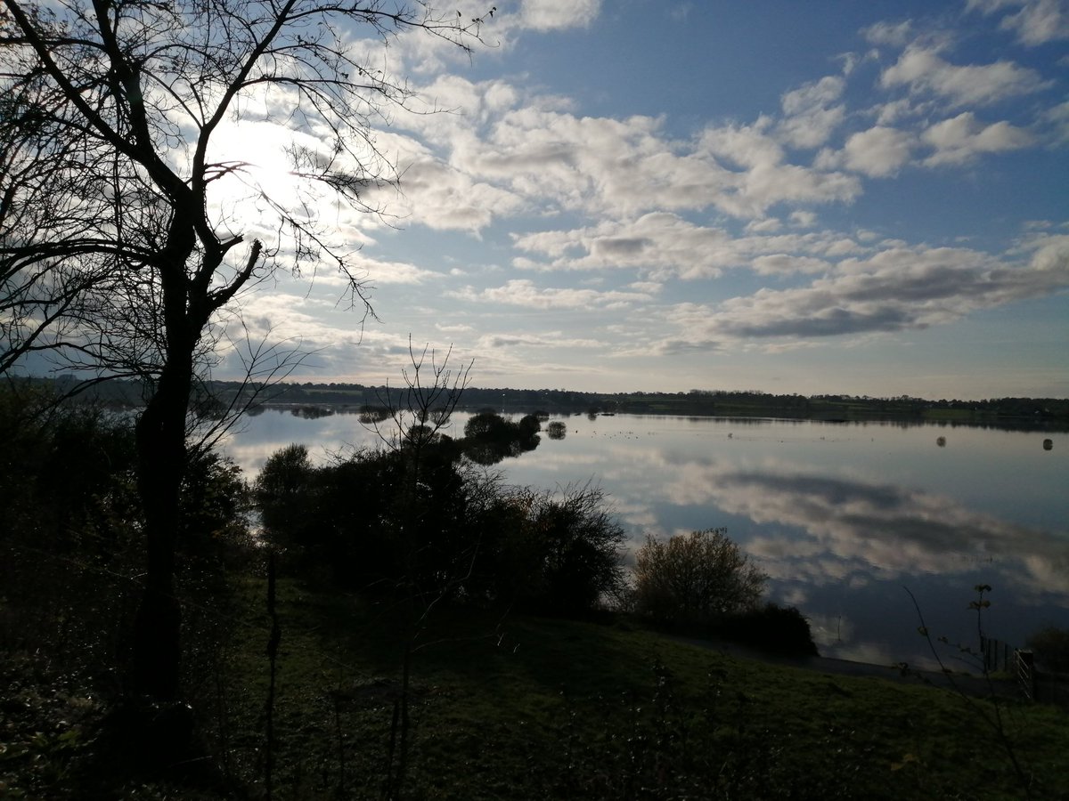 Bonjour la TL 😊

📸de moi. Le marais,  novembre 2019