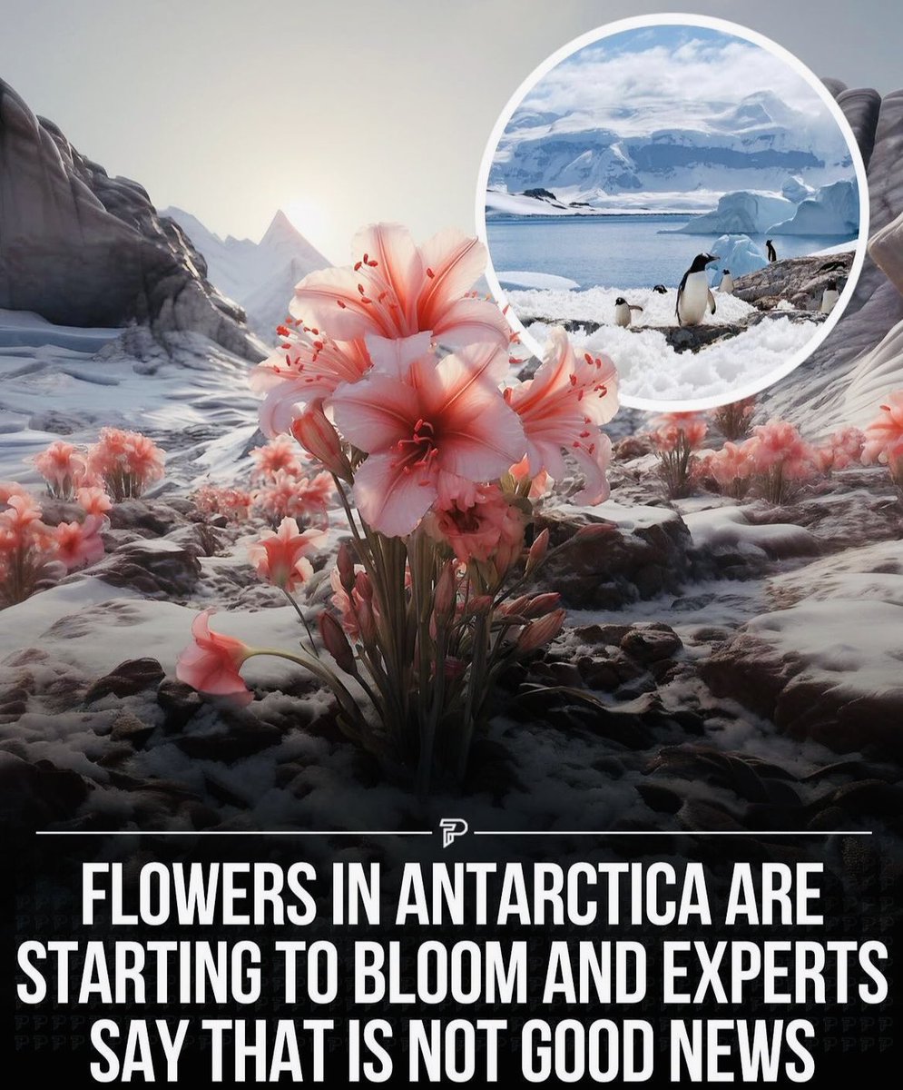 Redd (@reddcinema) on Twitter photo 