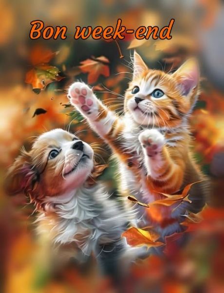 LaplumedeT's tweet image. Bjr chers #abonnés #amis  #ligue_des_optimistes 

Comment allez vs ? 
J&apos;espère que tt le monde va bien ? 

C&apos;est le week-end pr beaucoup. Profitez en bien pr faire ce qu&apos;il vs plaît et vs reposer 🙂 

Je vs souhaite un agreable samedi et à demain ! 

Prenez soin de vs 🙏 💋💋💋💋