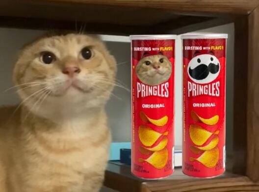 【【10月】哈基米音乐排行榜#13-哔哩哔哩】b23.tv/hXjy8rL

想知道什么是哈基米音乐？
是谁在制作这些音乐？
为什么如此上头？

去B站，去抖音，去看看全民制作人们的巧思创意，你就明白为什么 #哈基米 是中文第一meme，纯粹的亚文化解构符号，真正的春风吹又咪