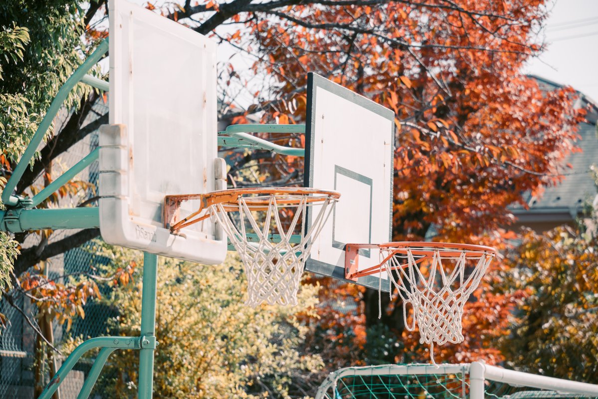 ytbo's tweet image. 小学校

#SigmaBF